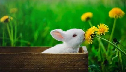 星空娱乐登录-C罗在训练中完成倒钩技惊四座，c罗倒钩什么水平